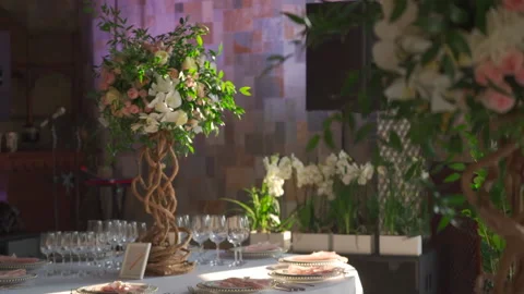 Table for guests at the wedding with beautiful tree Stock Footage 150747118