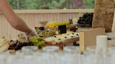 Table with hard cheeses Camembert, Brie, Parmesan, Dutch cheese. Cheese tasting Stock Footage 253323832