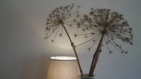 A Table Lamp and a Decorative Plants House Interior Stock Footage 246963856