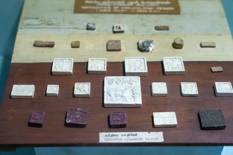 A table with many different shaped white and brown objects. in Chennai Stockfoto's