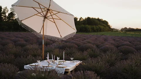 A table in the middle of the sky on a lavender field. A beautifully set table. Видео 252097091