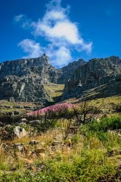 Table Mountain cable railway Stock Photos