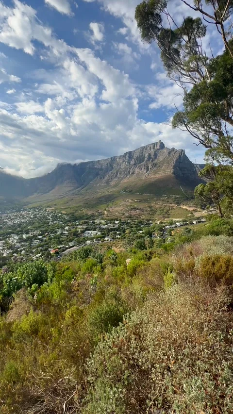 Table Mountain in Cape Town. Video stock 336648329