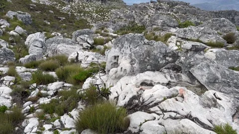 Table Mountain in Cape Town, South Africa. Video stock 336648118