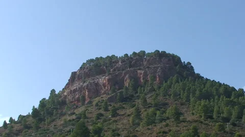 Table mountain covered by pine forest Stock Footage 49964127