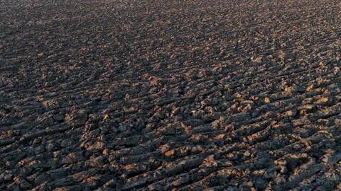 Table Mountain 스톡 동영상 321402418