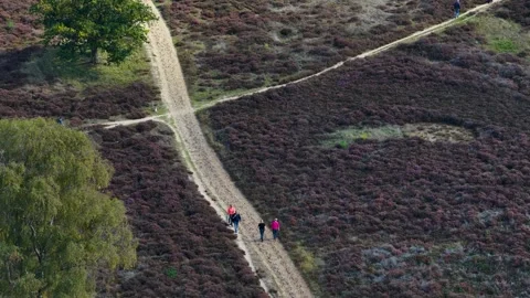 Table Mountain Video stock 321402490