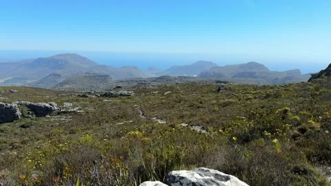 Table Mountain Hiking Trail Stock Footage 277829914