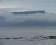 Table Mountain from Robben Island Zooms and Birds, Cape Town GFSD SD Footage