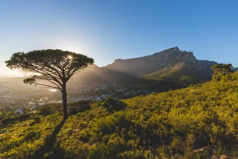 Table Mountain at sunrise Stock Photos