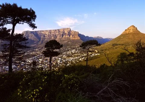 Table Mountain View Stock Photos