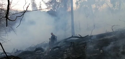 Table Mountain Wildfire destroyed UCT Campus in Cape Town, South Africa Stock Footage 340227885