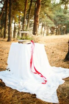 Table in the pine forest Foto stock