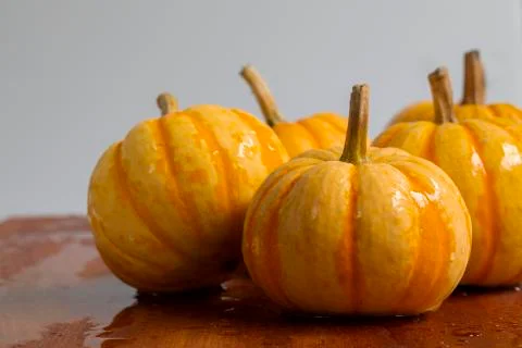 Table, plate, fresh, small pumpkin Stock Photos