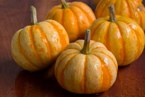 Table, plate, fresh, small pumpkin Stock Photos