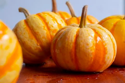 Table, plate, fresh, small pumpkin Stock Photos