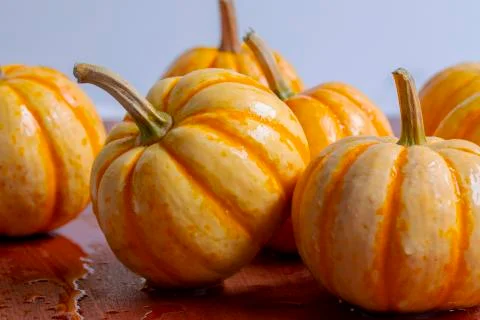 Table, plate, fresh, small pumpkin Stock Photos