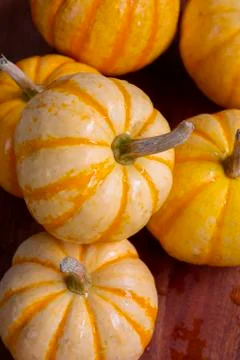 Table, plate, fresh, small pumpkin Stock Photos