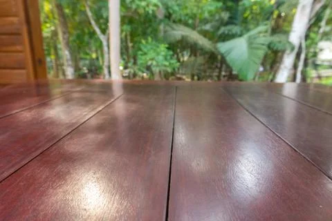 Table scene and tree in background at coffee cafe Stock Photos