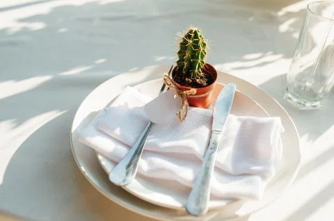 Table served with succulents for dinner Stock Photos