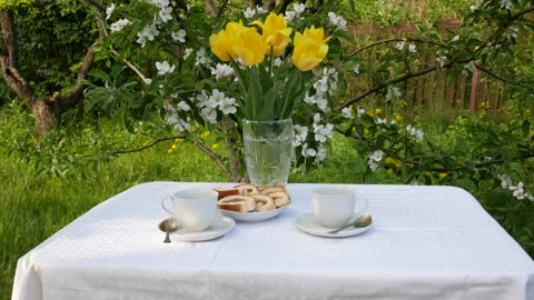 Table served for tea drinking in the garden against the backdrop of a blooming Stock Footage 170597744