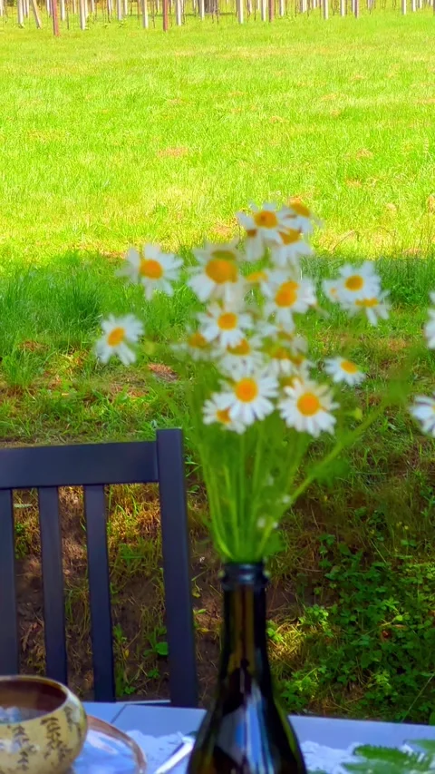 Table set up in boho style with flowers in bottle near to vineyard - vertical Stock Footage 275616468
