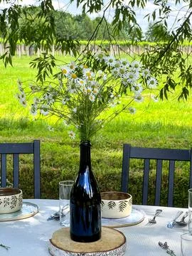 Table set up in boho style with flowers in bottle near to vineyard Fotos de archivo