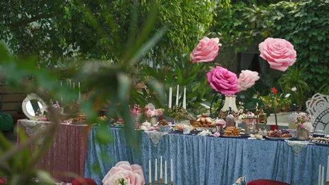 Table set for an event party or dinner outdoors. plant close up focus Stock Footage 196218455
