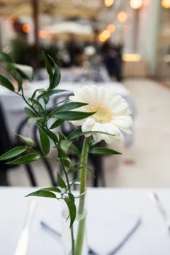 Table set for an event party or wedding reception Stock Photos