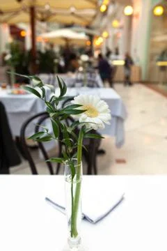 Table set for an event party or wedding reception Stock Photos