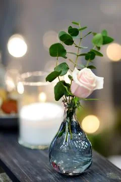 Table set for an event party or wedding reception in rustic or scandinavian s Stock Photos