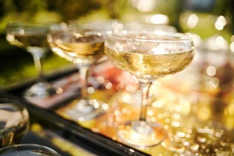 Table set for an event party or wedding reception. Banquet table design Stock Photos