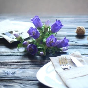 Table set for a festive dinner Stock Photos