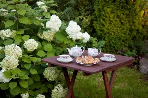 A table set in the garden for tea with fresh pastries Stock Photos