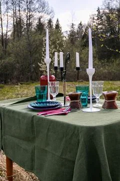 A table set in nature at the dacha in spring for lunch or dinner Stock Photos