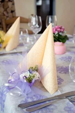 The table set. Stock Photos