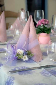 The table set. Stock Photos