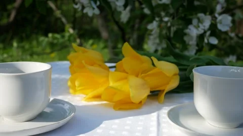 Table set for tea drinking in the garden in spring Video stock 167684901