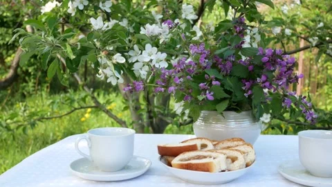 Table set for tea drinking in the garden in spring Stock Footage 167753939