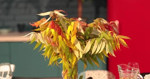 Table setting-decoration of a large table with leaves on an autumn theme Stock Photos