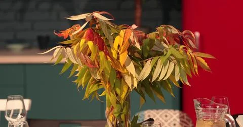 Table setting-decoration of a large table with leaves on an autumn theme Stock Photos