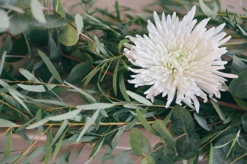 Table setting flowers. wedding decor, autumn flowers. floristic composition Stock Photos