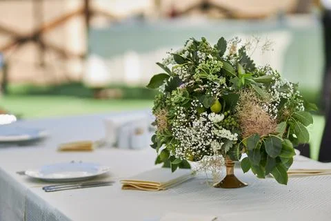 Table setting. Stock Photos