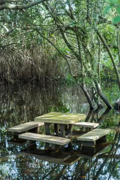 Table setting in the water lake Stock Photos