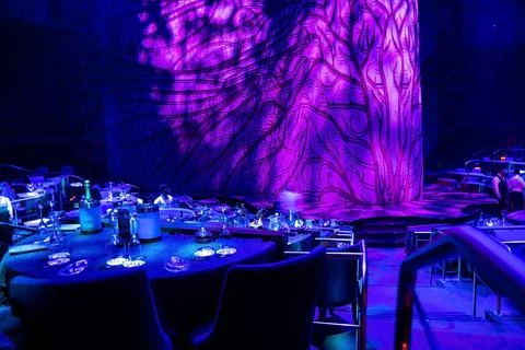 Table setting with wine glasses and bottle at restaurant for Cirque du soleil in Stock Photos