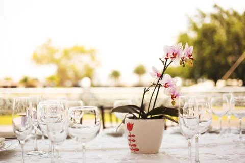 Table setup, wedding guest table, reception layout rustic background Stock Photos