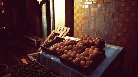 Table showcasing illuminated oranges with sharp contrasting shadows visible Stock Footage 339630673