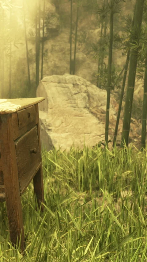 Table stands in nature with trees and rocks in the background during daylight Stock Footage 341962869