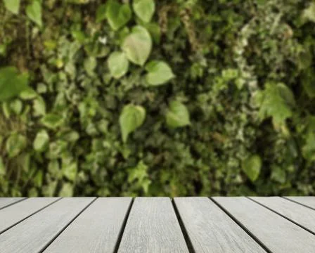 Table surface looking out blurred green leaves. High quality and resolution Stock Photos