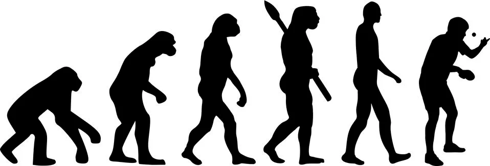Table Tennis Evolution 스톡 일러스트